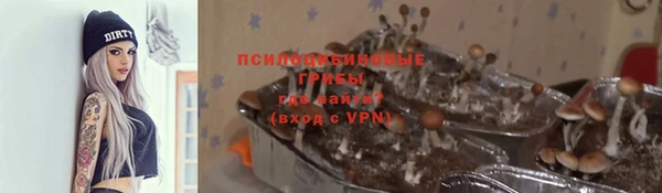 spice Иннополис