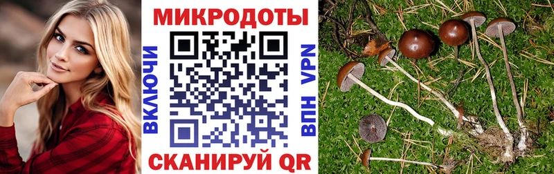 Псилоцибиновые грибы мухоморы  Купить где  Поронайск 